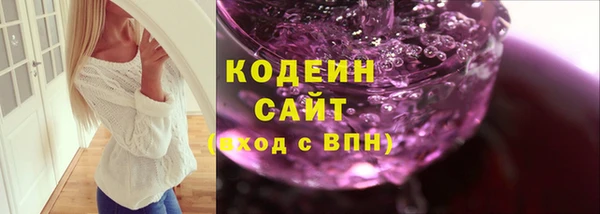 шишки Осинники