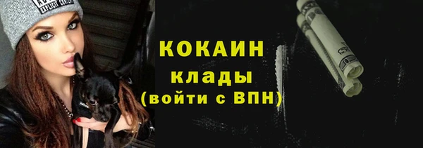 шишки Осинники
