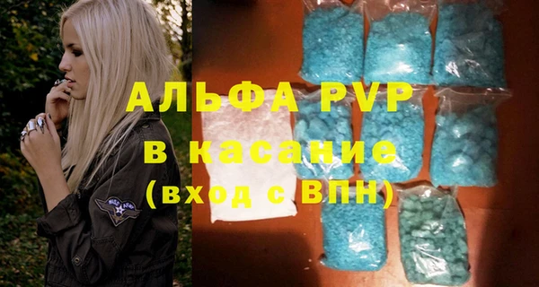 шишки Осинники