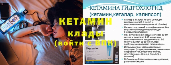 шишки Осинники