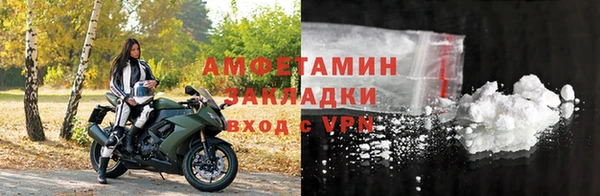 шишки Осинники