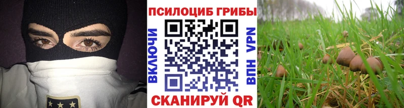 Галлюциногенные грибы мицелий  OMG как зайти  Зея 
